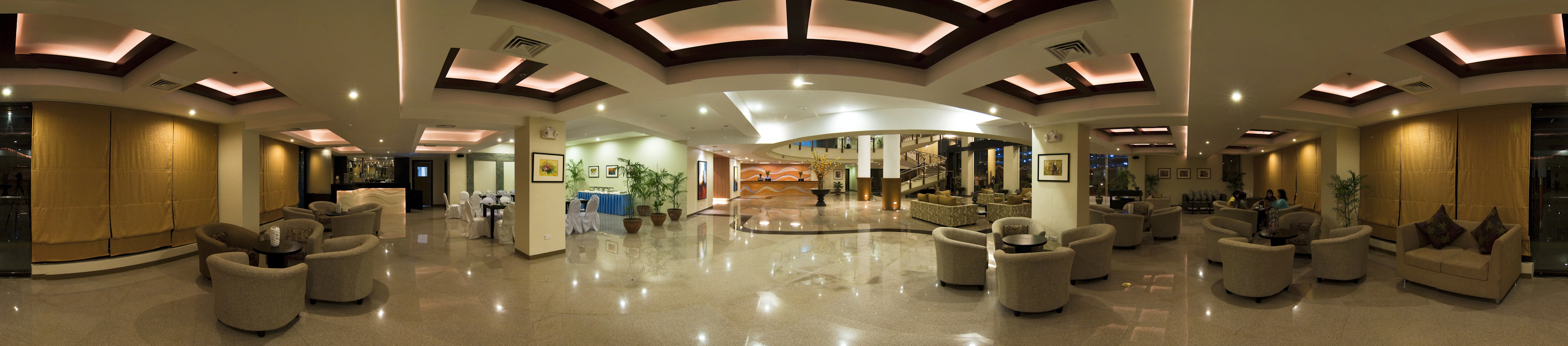 The Pinnacle Hotel and Suites - Lobby 10