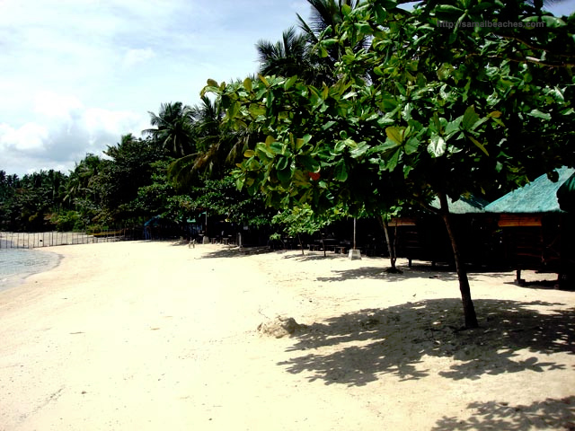 Fernandez Beach Samal (1)