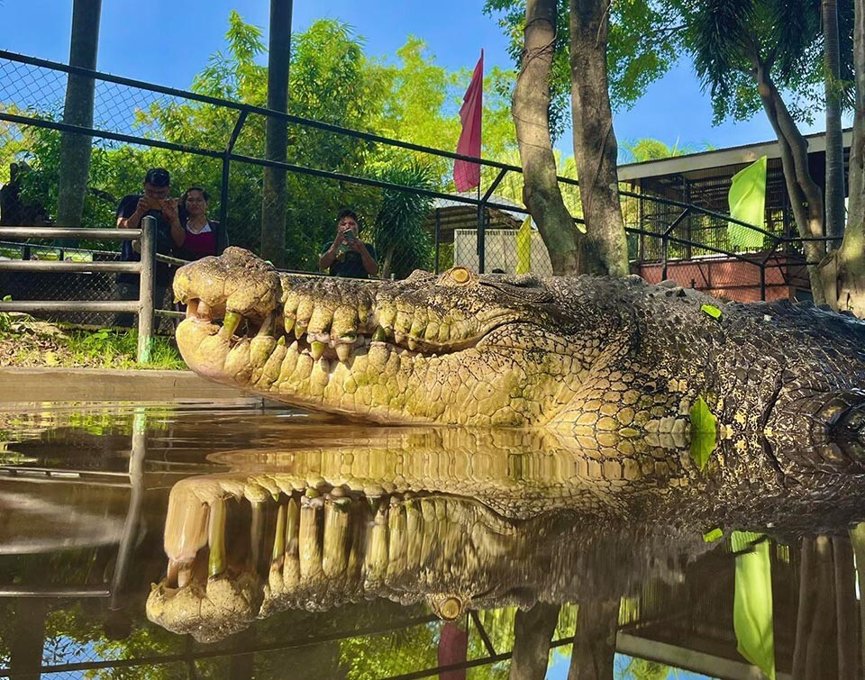 Davao Crocodile Park and Zoo (1).jpg